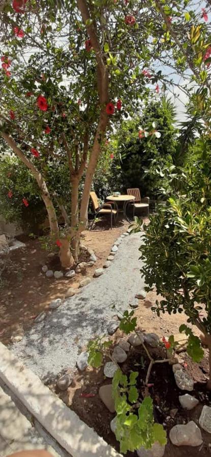 Yialos Studios-apartments Apartment *